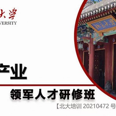 新白金汉大学工商管理硕士MBA